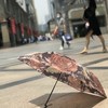 优品堂“物静花雨 ”三折“羽毛伞”超轻防紫外线遮阳太阳伞 商品缩略图2