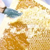 蓝莓蜜500克限时买二送一  商品缩略图5