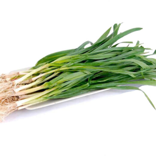 新鲜蒜苗【约450g-500g】 商品图1