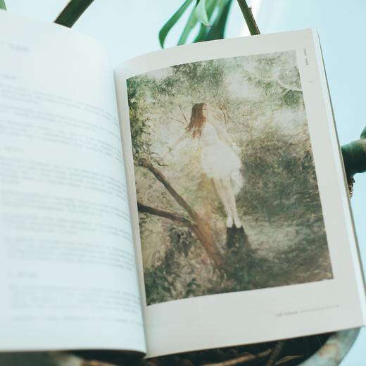 艺术画册 | 何多苓文献集 商品图3