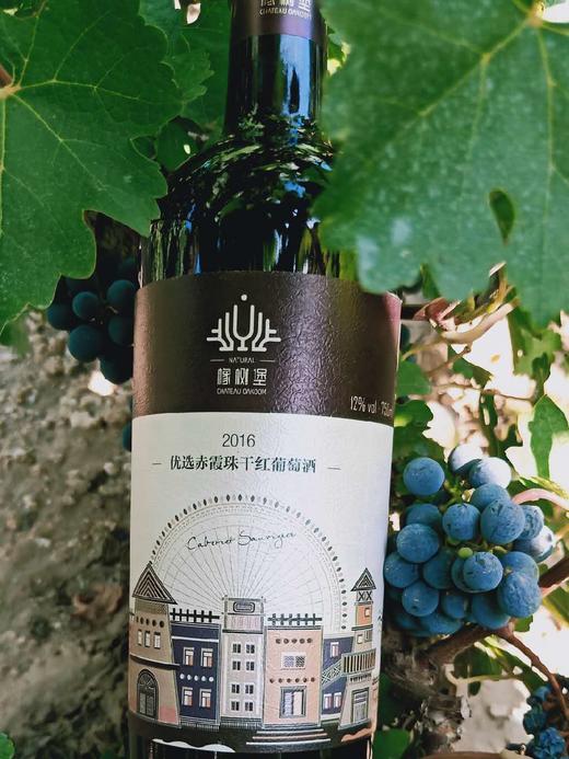 2016年份赤霞珠优选干红 商品图1