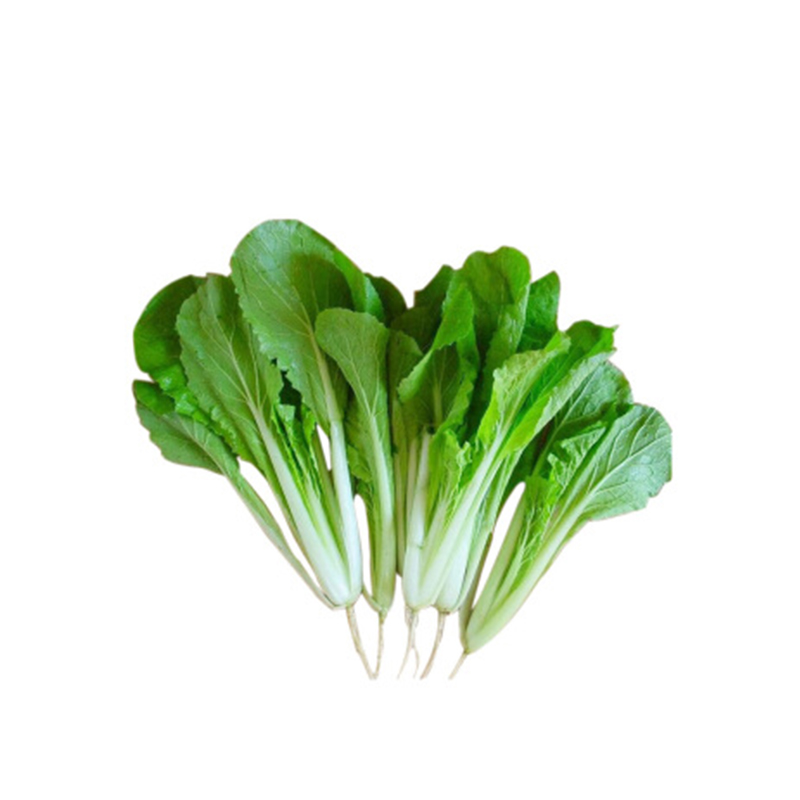 小白菜【约500g】