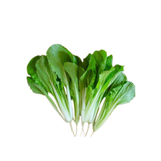 小白菜【约500g】 商品图0