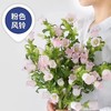 【感恩 温柔的爱】风铃花  多色可选  若干枝/扎 商品缩略图1