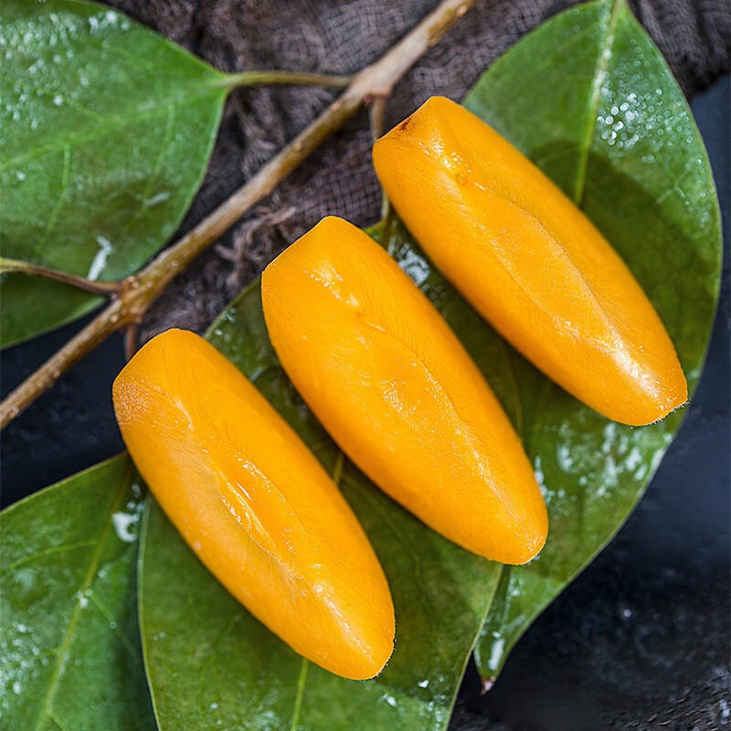 【陕西·大荔】金太阳大黄杏 果香浓郁 酸甜多汁 当季新鲜采摘