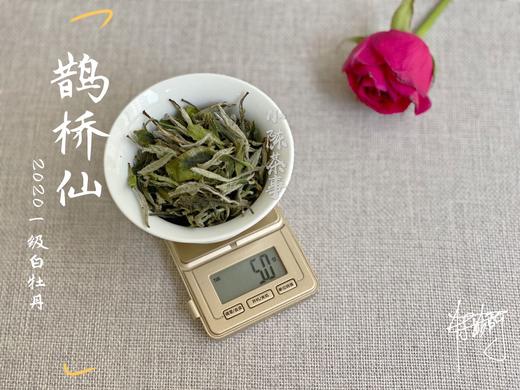 【春天的回响】2020一级白牡丹《鹊桥仙》，花香落水，水香清雅（80克品鉴装） 商品图3