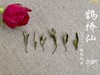 【春天的回响】2020一级白牡丹《鹊桥仙》，花香落水，水香清雅（80克品鉴装） 商品缩略图5