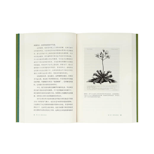 《它们没大脑，但它们有智能：植物智能的认识史》 颠覆认知 科普知识 读库小册子 商品图4
