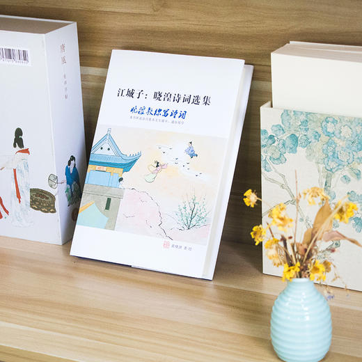 《江城子：晓湟诗词选集》晓湟教你写诗词 商品图3