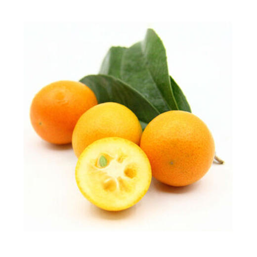 金桔【约450g-500g】 商品图0