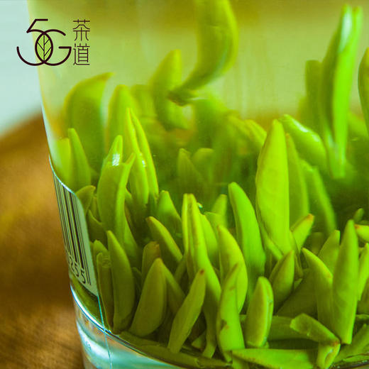 绿茶 | 西蜀茶缘 【2025年新茶】 蒙顶雨竹 50g（盒装） 商品图2
