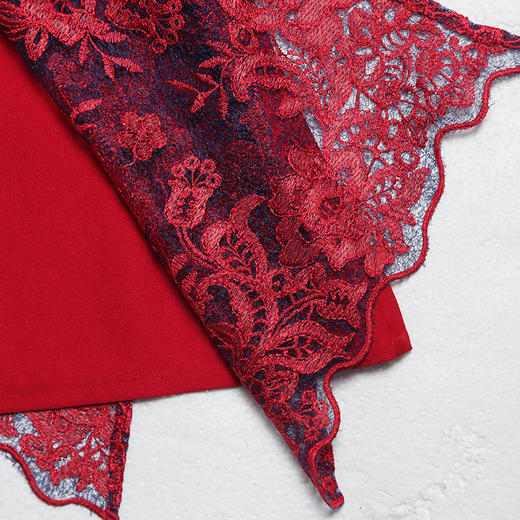 佐尔美新品初秋新品气质镂空优雅复古中长袖蕾丝连衣裙E81LL11 商品图3