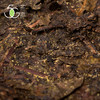 黑茶 湘益 2019年 传承  茯砖 900g 商品缩略图3