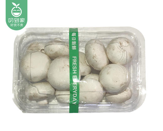 漳州新鲜白蘑菇（200g±20g/份） 商品图3