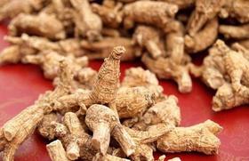 1F宝明堂 西洋参