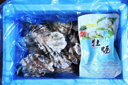 社区团购乳山牡蛎（净重5斤） 商品图0