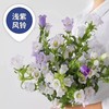 【感恩 温柔的爱】风铃花  多色可选  若干枝/扎 商品缩略图2