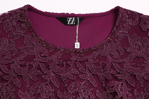 佐尔美新品春秋女装纯色蕾丝印花修身显瘦拼接中袖连衣裙E71LL26 商品图1