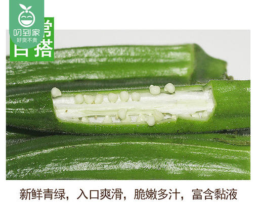 海南新鲜秋葵*2盒（200g±25g/盒） 商品图2
