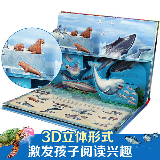 奇趣科普3D立体发声书 海洋王国 商品图3