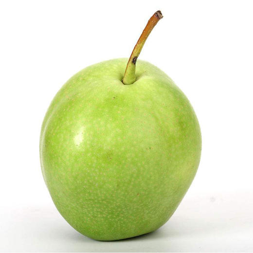 早酥梨【约550g-600g】 商品图3