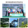 【2026新茶】清凉峰国家保护区内海拔1000米高山茶 手工炒制龙井群体种绿茶 商品缩略图3