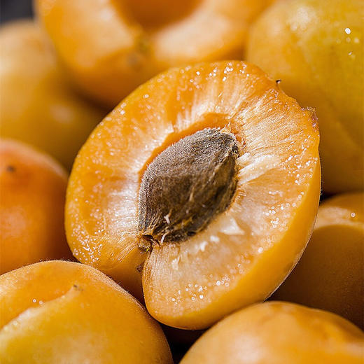 陕西大荔金太阳大黄杏果香浓郁酸甜多汁当季新鲜采摘