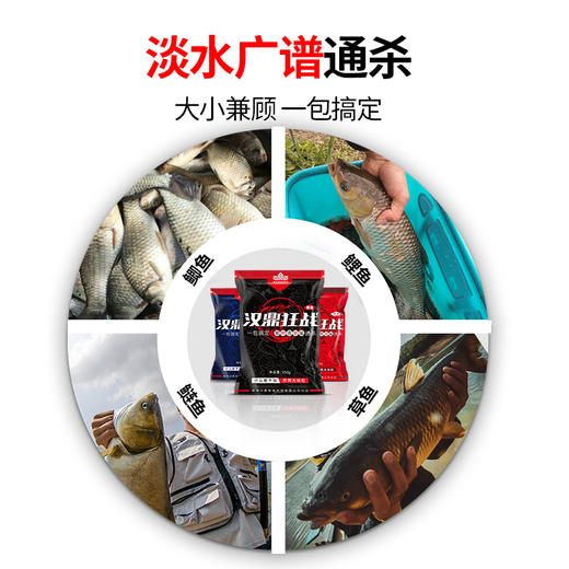 汉鼎鱼饵饵料鲫鱼鲤鱼草鱼野钓水库鱼料钓鱼打窝全能综合饵料狂战 商品图2