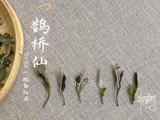 【春天的回响】2020一级白牡丹《鹊桥仙》，花香落水，水香清雅（80克品鉴装） 商品图4