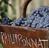 Philipponnat Sublime Réserve 2009 菲丽宝娜甜魅香槟 2009 年份 商品缩略图3