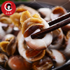 醉玉螺 商品缩略图4