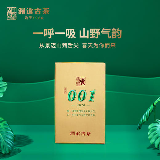 澜沧古茶 2020年001小砖景迈古树春茶普洱生茶单砖125g/砖 商品图0