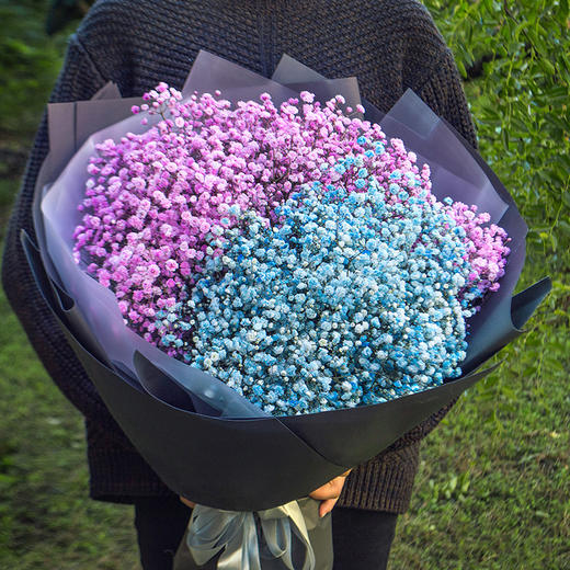 精品双色混搭满天星花束 商品图0