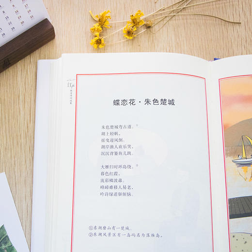 《江城子：晓湟诗词选集》晓湟教你写诗词 商品图2