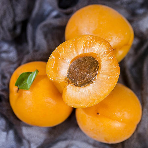 陕西大荔金太阳大黄杏果香浓郁酸甜多汁当季新鲜采摘