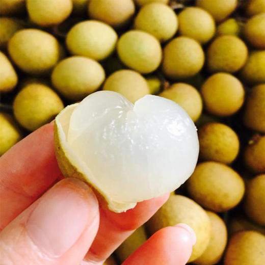泰国金正龙眼 | 金正龙眼，Q弹嫩滑 ！ 商品图0