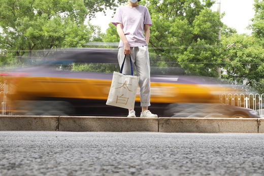 李白杜甫cp帆布包 商品图4