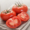 有机初恋番茄西红柿  （ 有机认证、精选有机水果 ）【广东不发货】 商品缩略图1