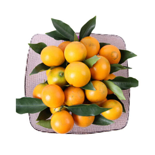 金桔【约450g-500g】 商品图4