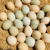 太行山农家散养土鸡蛋 40枚 商品缩略图0