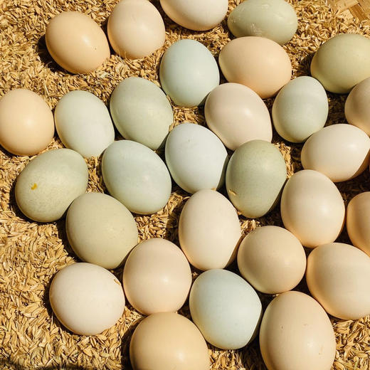 太行山农家散养土鸡蛋 40枚 商品图0