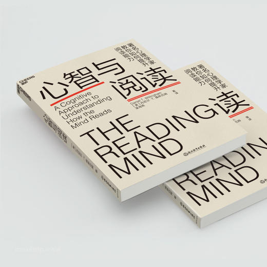 心智与阅读 丹尼尔·威林厄姆 阅读背后的神秘地图 提升阅读能力 阅读时大脑如何运转 阅读 心理学书籍 商品图3