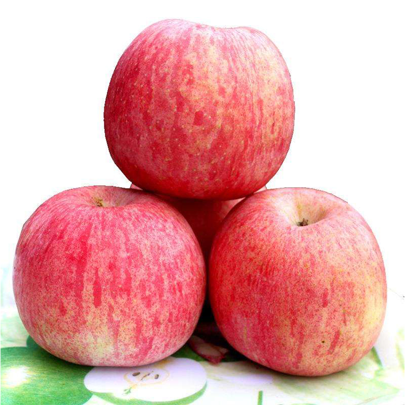 甘肃富士80#【约650g-700g】