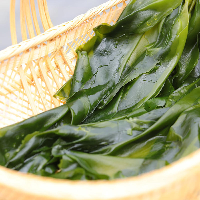 优选新品 | 福建霞浦海带嫩苗 人工采摘 鲜嫩爽口 营养丰富 2斤/3斤装