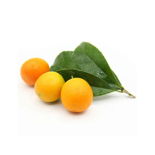 金桔【约450g-500g】 商品图2