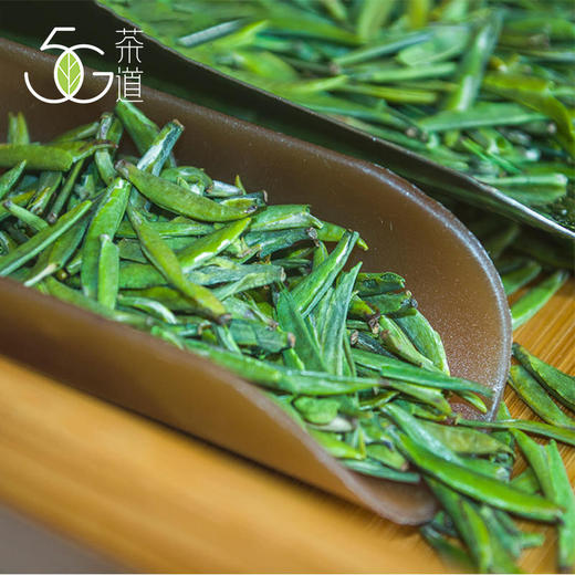 绿茶 | 西蜀茶缘 【2025年新茶】 蒙顶雨竹 50g（盒装） 商品图1