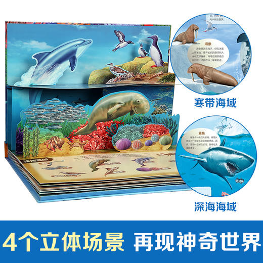 奇趣科普3D立体发声书 海洋王国 商品图1