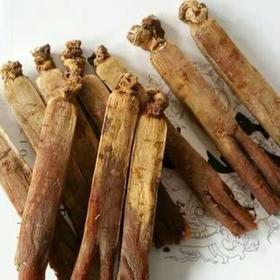 1F宝明堂红参