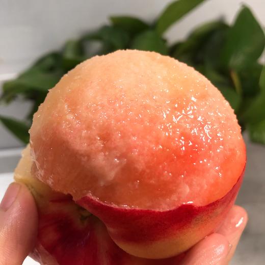 四川龙泉水蜜桃水分炒足个头大约270g颗放软后鲜嫩软