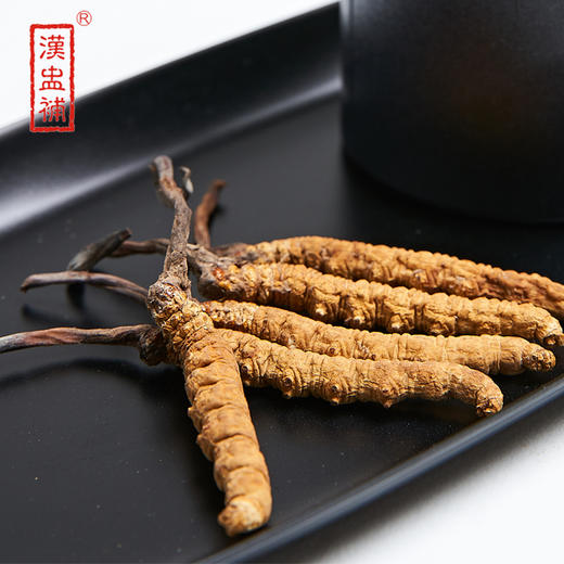 基地包邮 冬虫夏草一级精选 | 广州 汉盅补